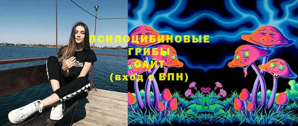 героин Алексин